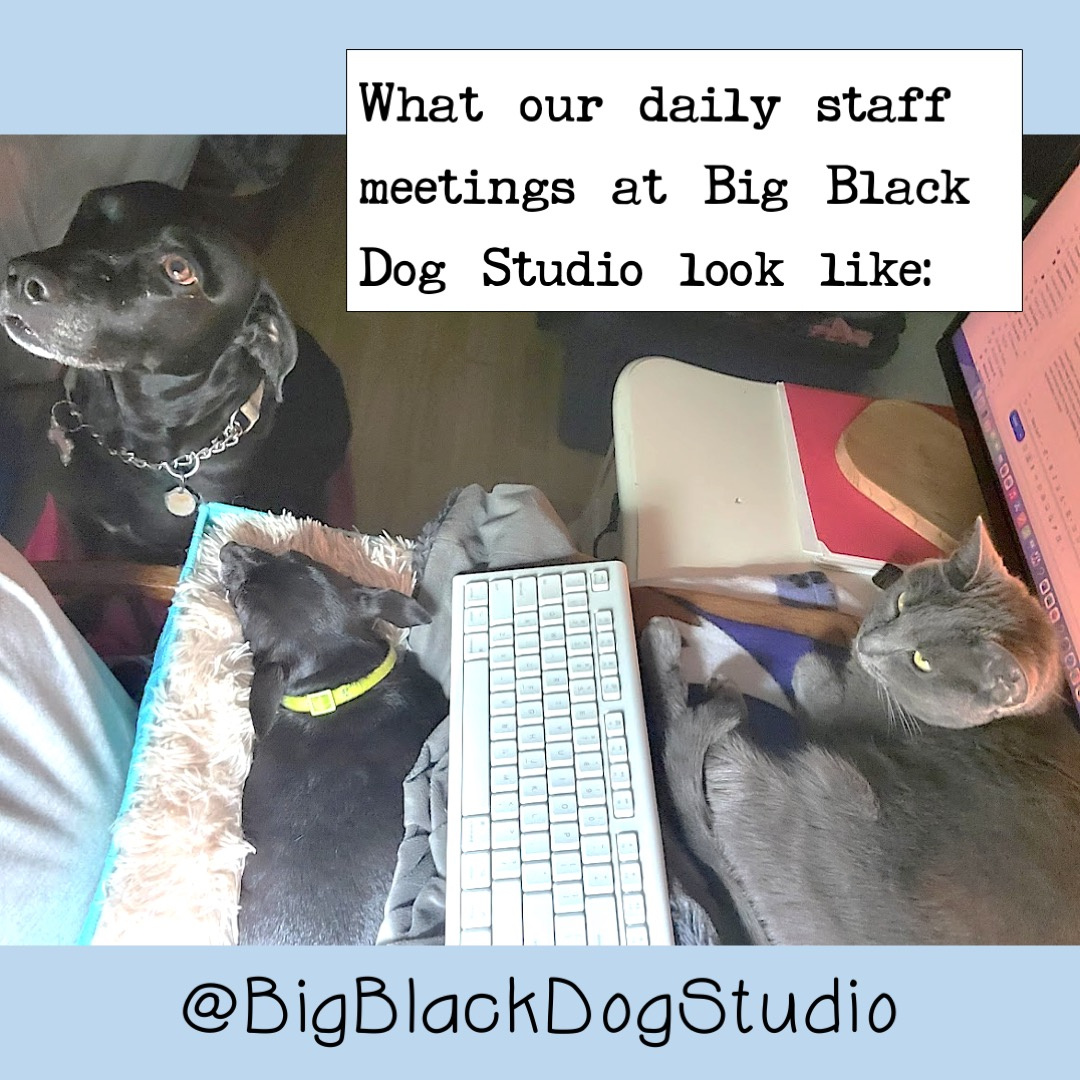 Daisy, Jen and Airy on me & my desk